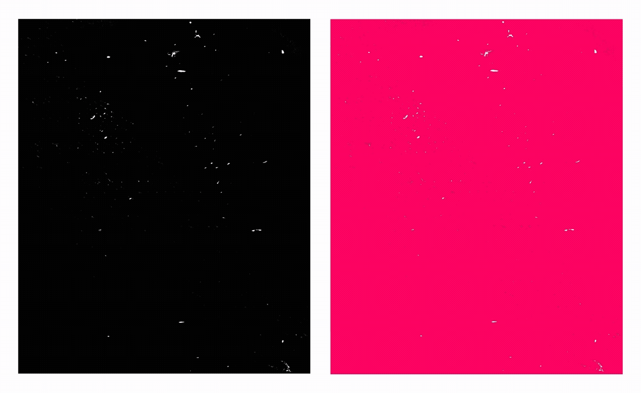 axis_gif_1